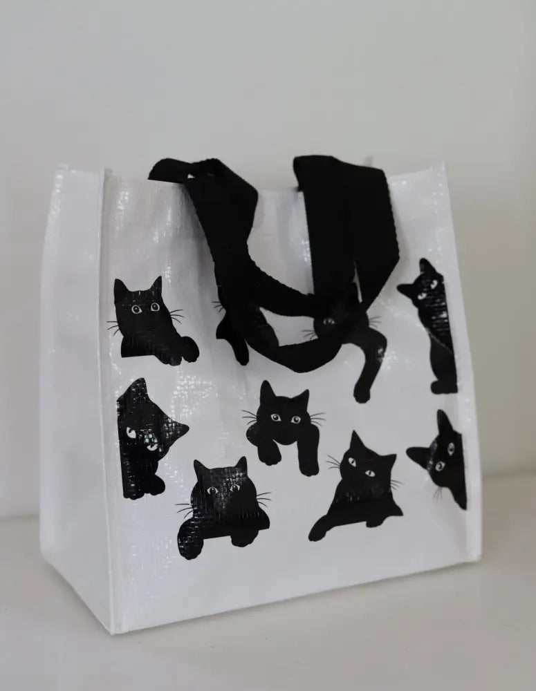 Madpose – Katte